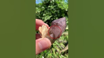 Natural Double Terminated Tabular Sceptre Window Amethyst Crystal with Enhydro x 1 From Namibia