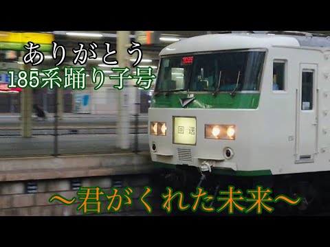 [鉄道pv] さよなら185系踊り子号、湘南ライナー 〜君がくれた未来〜