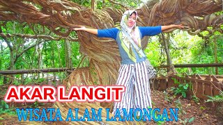 WISATA POHON TRINIL  LAMONGAN | AKAR LANGIT |  WISATA ALAM LAMONGAN JAWA TIMUR
