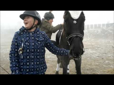 Video: Przewalského Kôň. Nová Hypotéza O Sekundárnom Divokom 