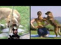 Best Animal Voiceovers (2025) thumbnail