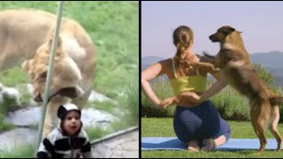 Best Animal Voiceovers (2025)