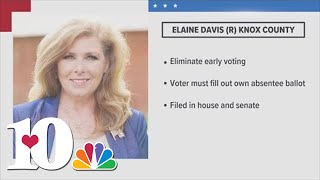 Knoxville lawmaker introduces bill that would get rid of early voting in Tennessee
