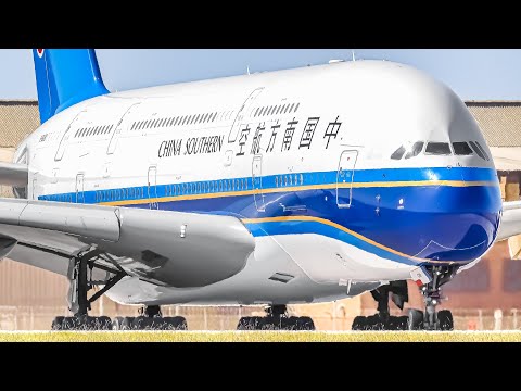 ✈️ 80 BIG