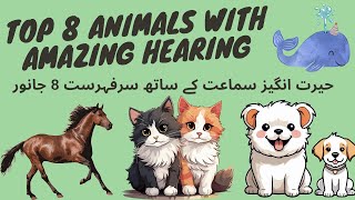 Top 8 Animals with Amazing Hearing | animal senses | animal sounds #animals #amazing #viral #video