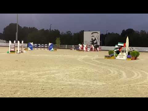 Z7 REGAL DON | Emirates Equestrian Club | 2* 1.35 | Jump Off