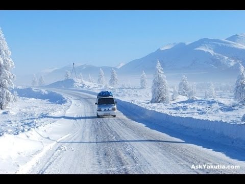 Video: Klonovaní Psi Byli Přivedeni Do Jakutsku: „Jsou To Obyčejné šlachy“- Alternativní Pohled