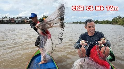 QUĂNG CHÀI Dùng Máy Hơi Lặn Mò Tôm Càng Xanh Sông Lớn.