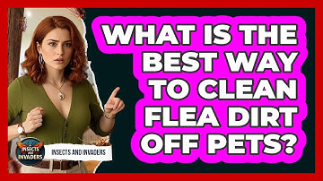 What Is The Best Way To Clean Flea Dirt Off Pets? - Insects and Invaders