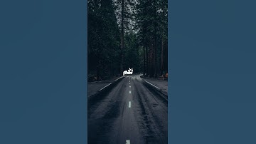 تلاوة هادئة 😌🎧🤍#علي_جابر #قرآن #قران_كريم #انشر_تؤجر #اكسبلور #ترند #حالات_واتس #اسلاميات