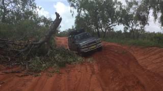 Fallen tree blocking the 'road'!
