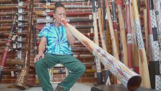 Download Lagu Marikuku Wirrpanda Yidaki key of D(5354) MP3