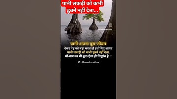 Thumbnail of #bollywood#music#song# #hindisong#motivation#upscmotivationlsong#love#motivationalvideo