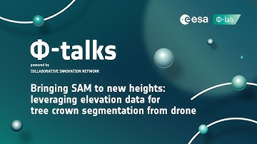 Φ-talk: Bringing SAM to new heights leveraging elevation data for tree crown segmentation from drone