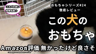 犬おもちゃレビュー。コスパ良しの知育玩具見つけました！