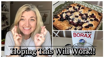 How to Get Rid of Ants | How to Get Rid of Moles | Homemade Blackberry Cobbler | Pest Product Review