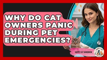 Why Do Cat Owners Panic During Pet Emergencies? - Happy Cat Handbook