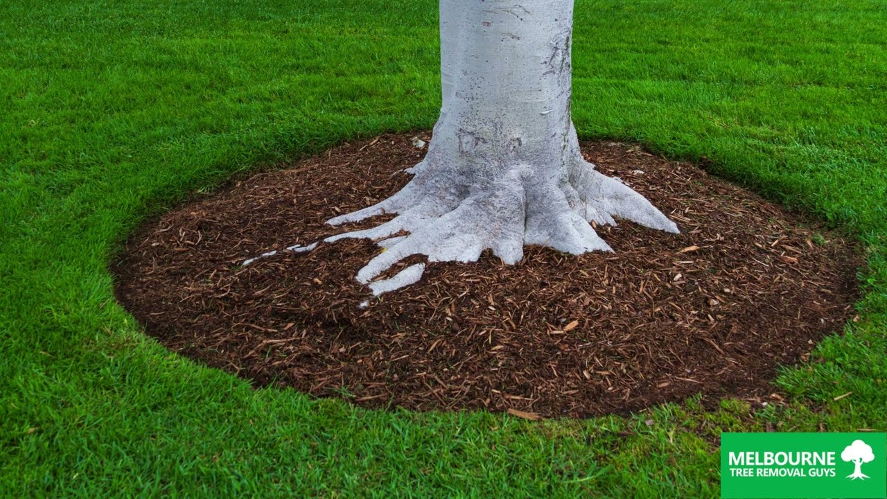 Tree Mulching Narre Warren, Melbourne