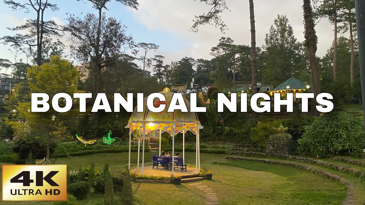 Botanical Garden Baguio Walk Tour | Afternoon Views & Night Lights 