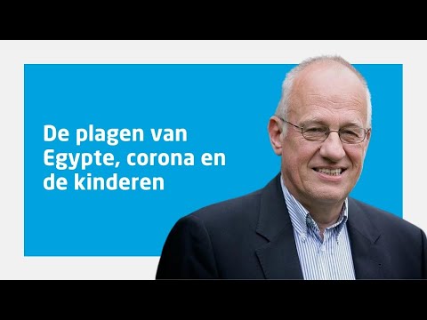 Video: Uitkijkend Over Het Verleden