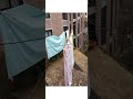 12 marzo 2026 ❤️ Esterzili ❤️ Giardino di casa di babbo ❤️ AjòBeniCaTiContu 