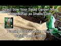 Plant Your Fall Salad Garden Now in the Heat: Direct Sowing, Containers, Using Burlap as Shade Cloth