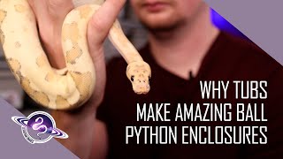Ball Python Breeding Starter Guide | Why Tubs Make the Best Enclosures for Ball Pythons