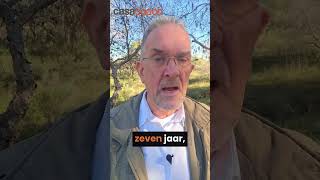 Download Lagu “Bijna nieuw” bestaat niet in Spanje. MP3