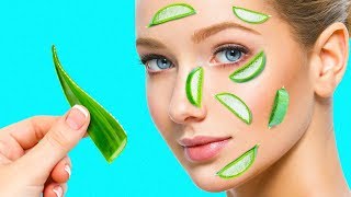 23 BENEFITS OF ALOE VERA YOU NEED EVERYDAY