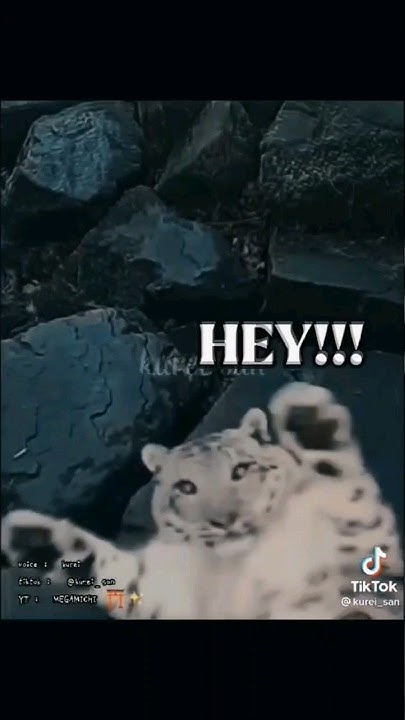 how-get-scared-in-punjabi-shorts-viral-animals-youtube