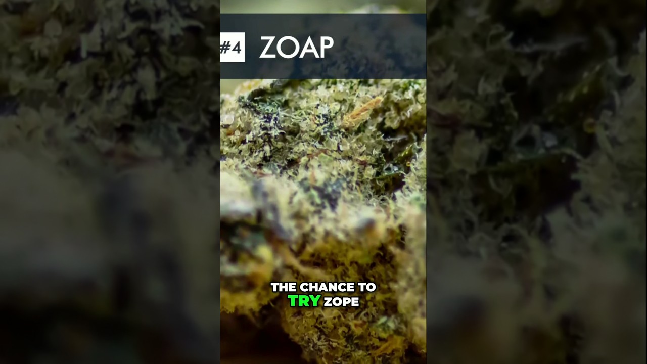Zoap: The Strain That Hits Like a Lightning Bolt! | 
