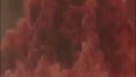 КУОК — МЯСО // QUOK — MEAT (cut | unofficial music video)