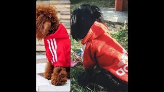 Imitando Fotos Tumblr Versão Dog