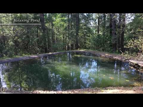17413 Cooper Rd, Nevada City, CA home video tour