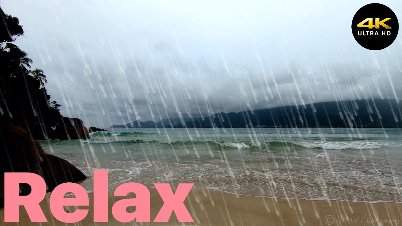 Sonido De La Lluvia Sonido De Lluvia Para Dormir