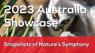 Snapshots of Nature's Symphony Module | 2023 Australia Showcase