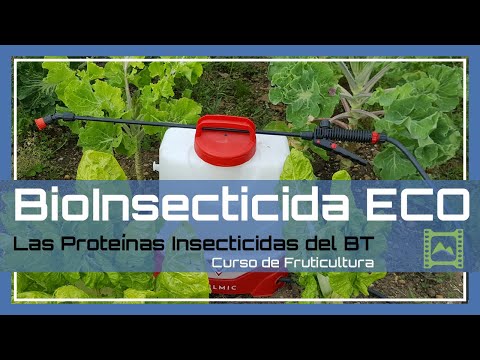 Video: Productos de Bacillus Thuringiensis - Consejos para usar Bt en el jardín