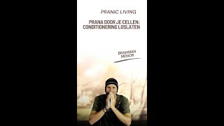 Download Lagu Prana door je cellen: Conditionering loslaten MP3
