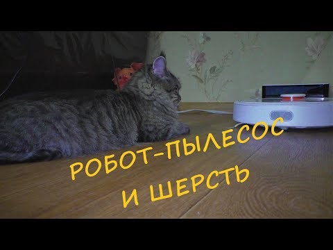 Вопрос: Почему у большинства животных есть шерсть и мех?