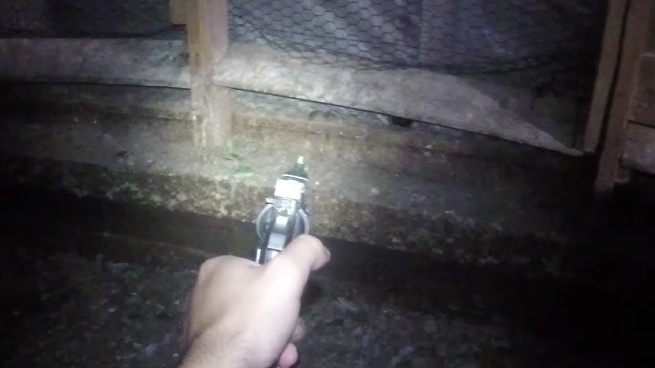 Mouse Hunting in a Chicken House using Crosman Vigilante (Part 1 of 3