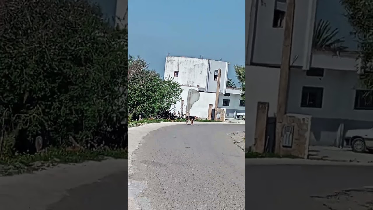 بنقريش إقليم تطوان 