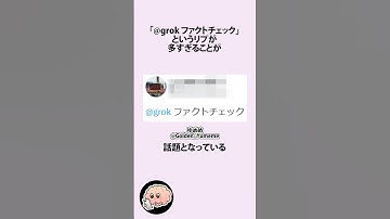 ファクトチェックし過ぎてGrok本人から指摘された件に関するうんちく