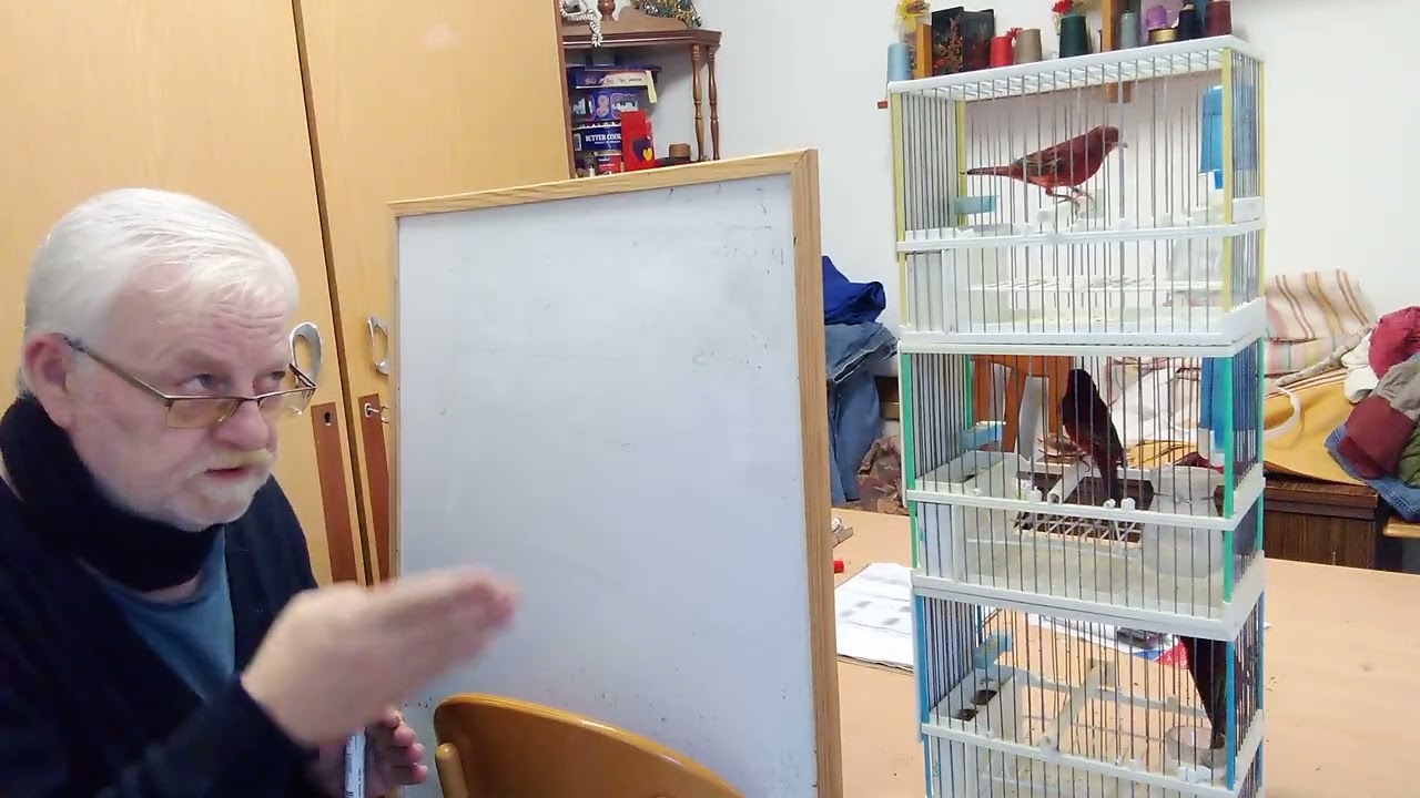 ENJAULE CONSEJOS .MATUSALEN pisaba con 300 AÑOS