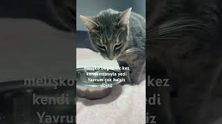 Klinik Borcu Derhal Ödenmeli El Atın Ne Olur 05342509399