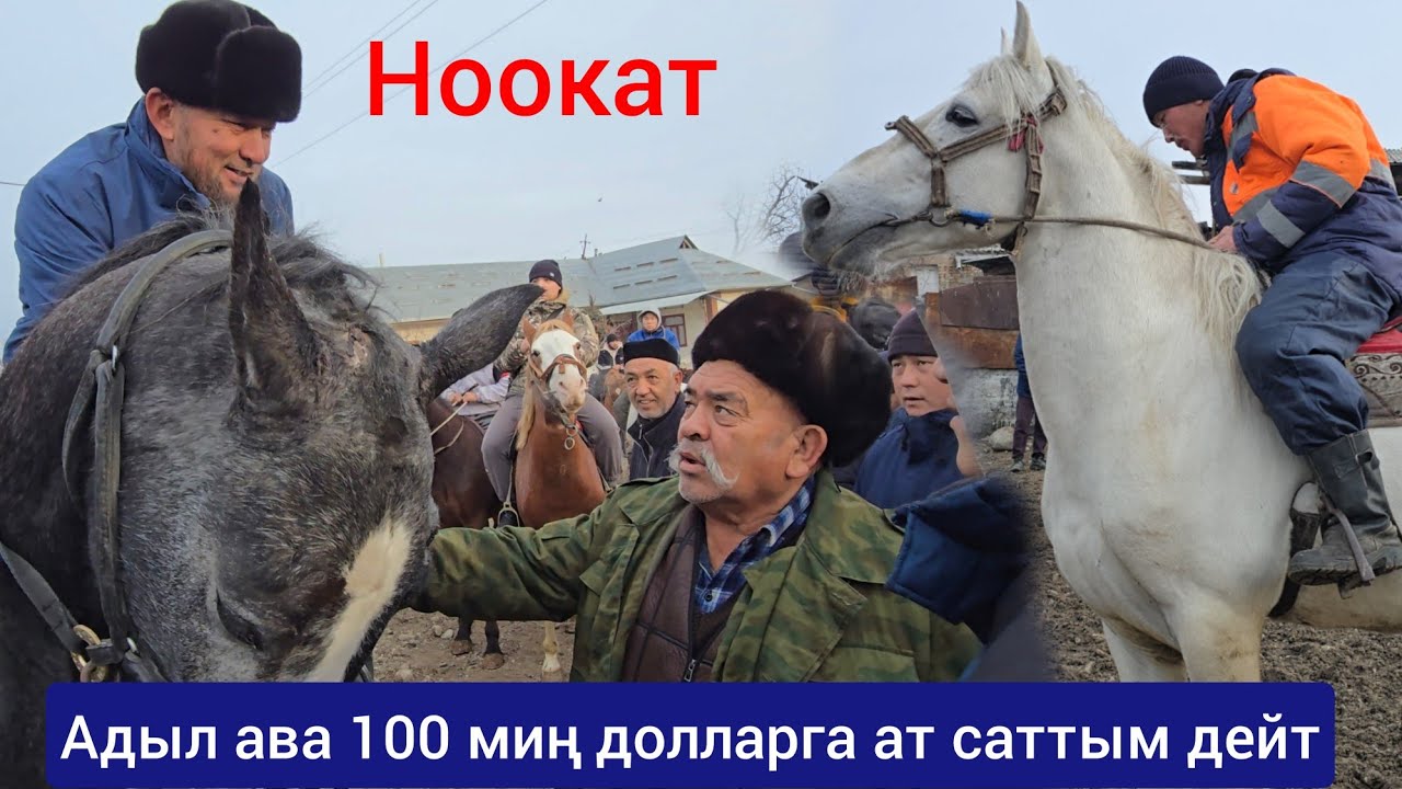 Базарда  Ат талаш Тополоң болду  МИЛЛИОНГО. чыгып. Кетти 😱