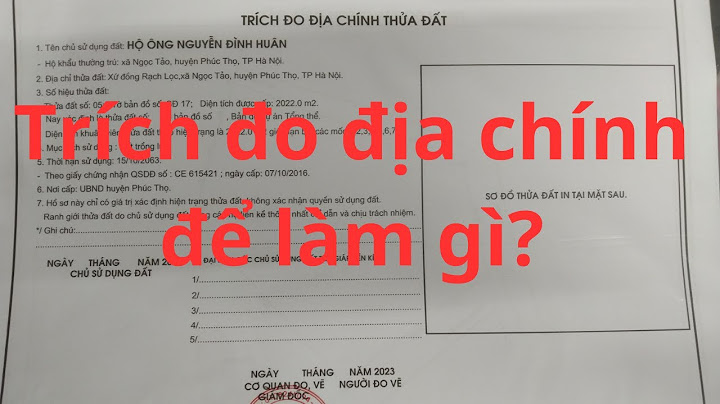 Dđất có giấy tờ trích đo là đất gì