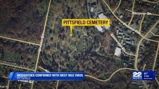 West Nile virus detected in mosquitoes collected in Pittsfield