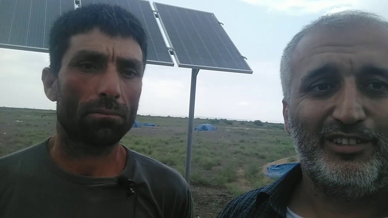 Damazlıq qoyun ferması və alternativ enerji