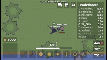 Killing it with the worst/best weapon in moomoo.io