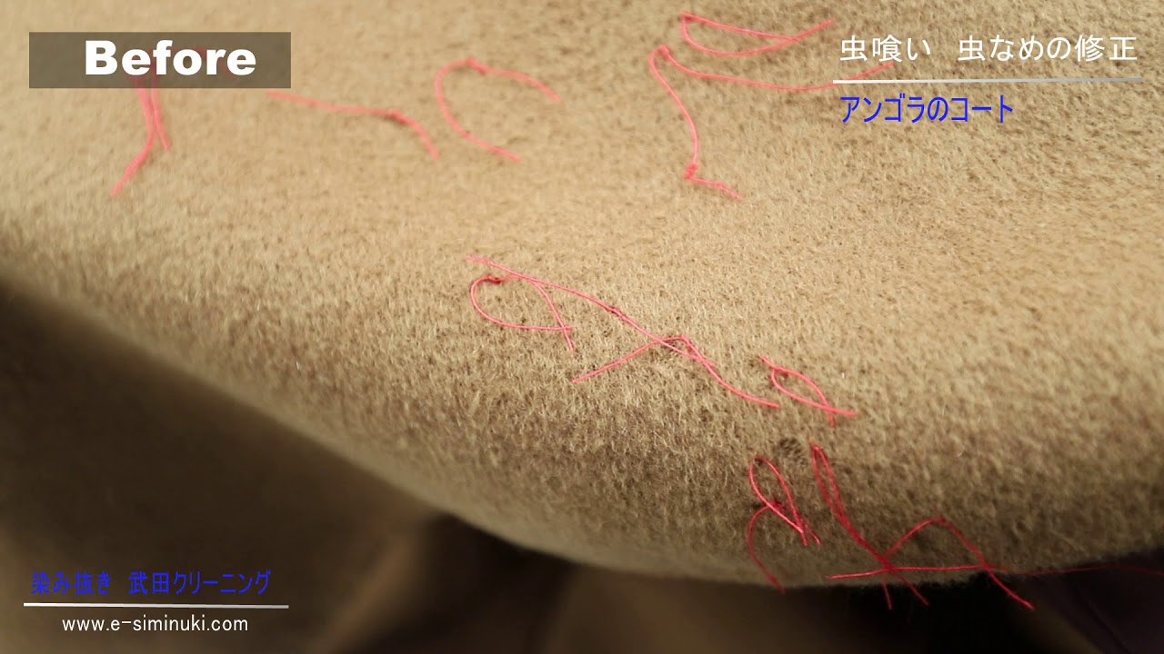 虫食いの修正 アンゴラコート 虫喰い 虫なめ お直し Youtube